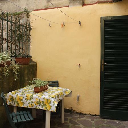 Vacantara Pisa Exteriér fotografie