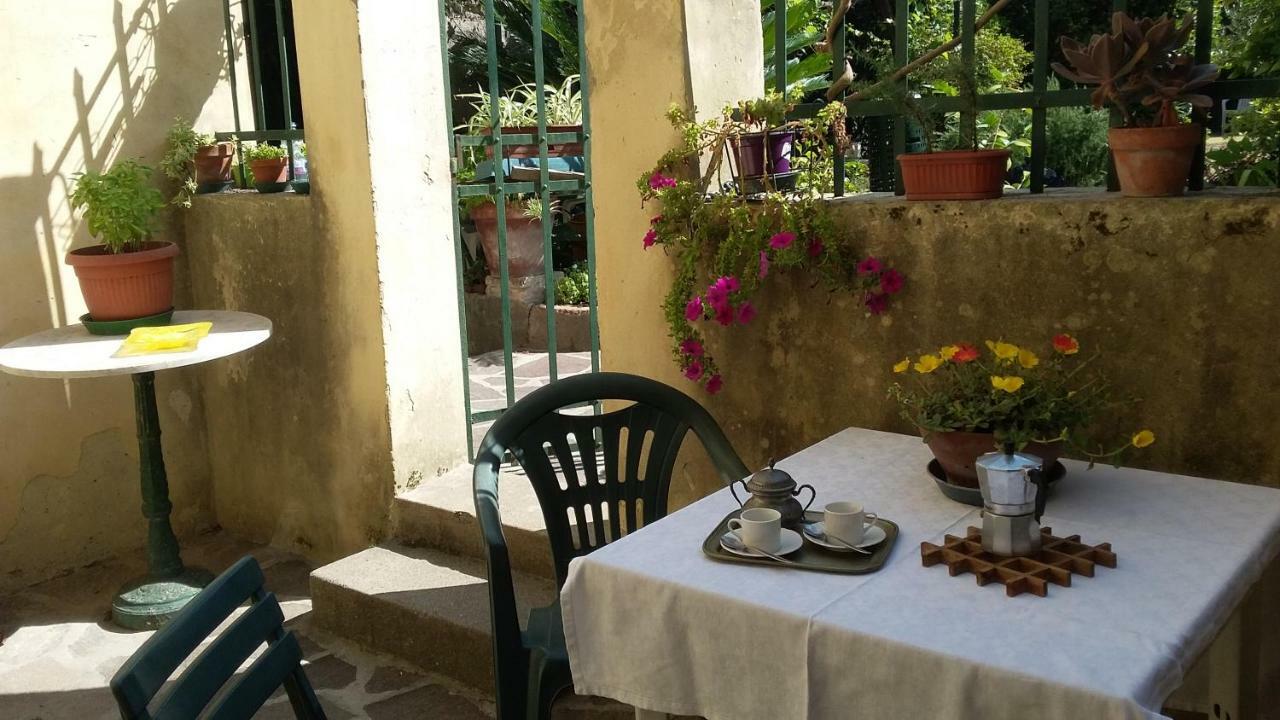 Vacantara Pisa Exteriér fotografie